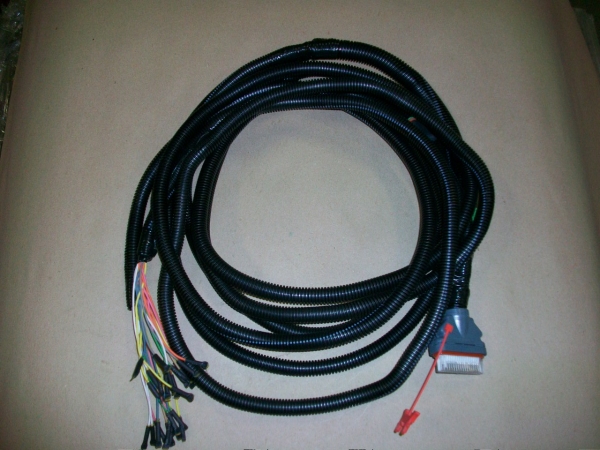 29541634