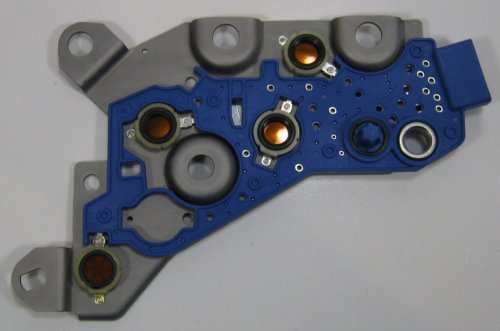 29542585