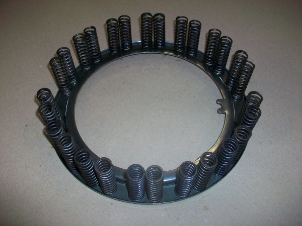 29503036