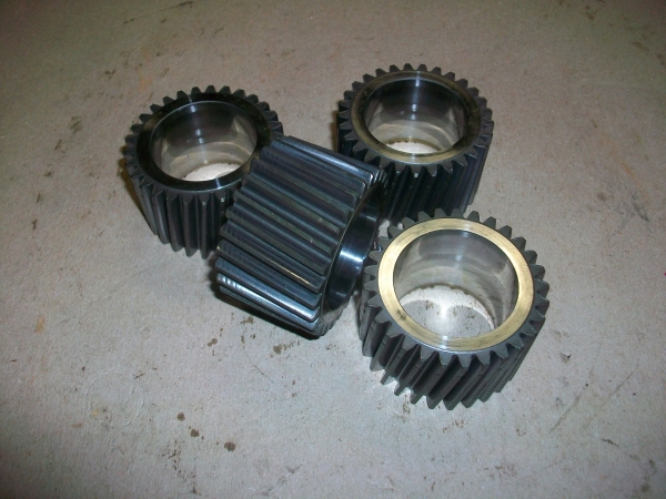 29507806
